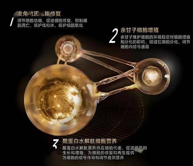 数万份食谱精选减肥食谱平台将为读者供给一键共享